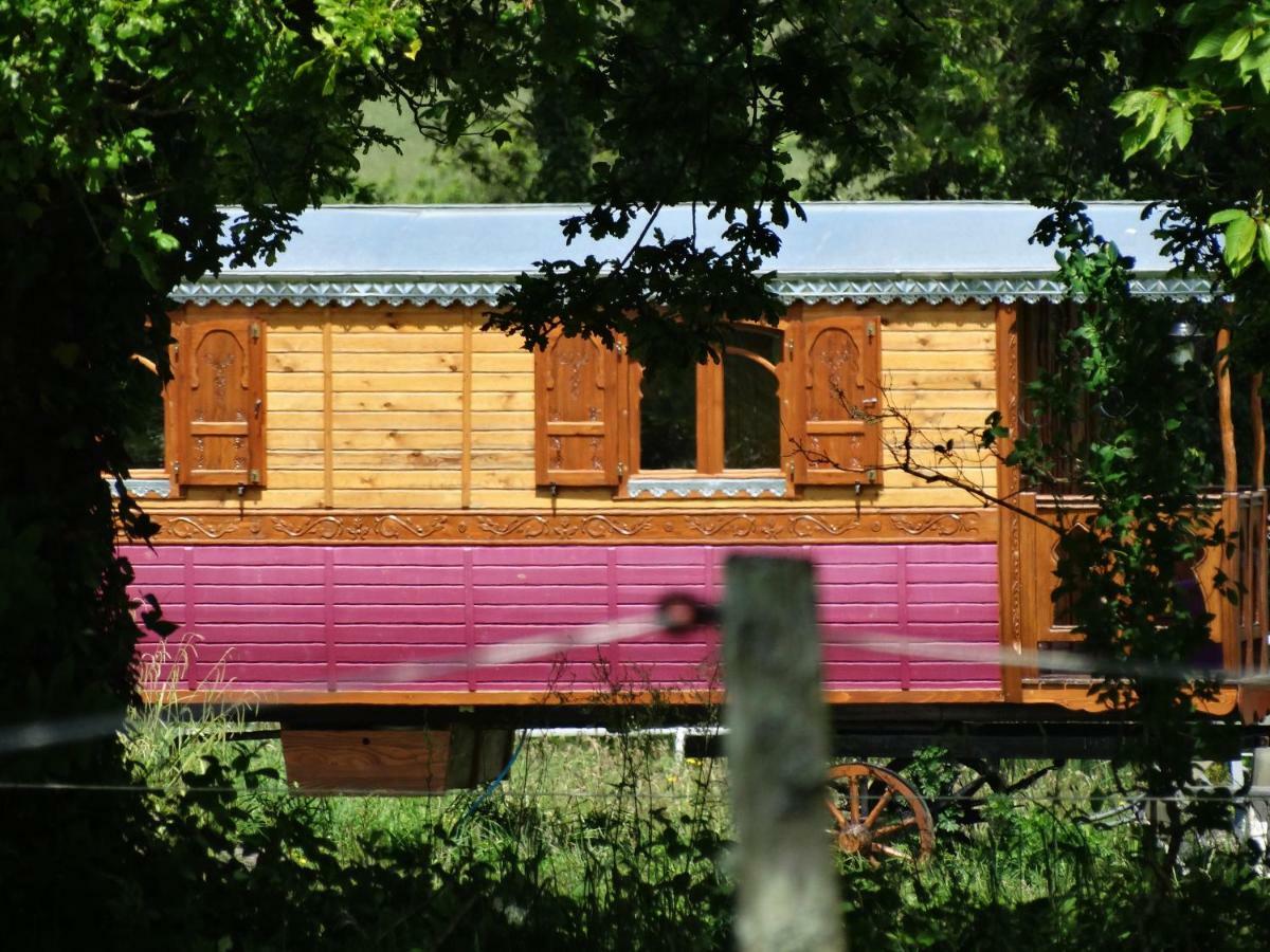 Une Roulotte Et Des Chevaux Treffléan Exteriör bild