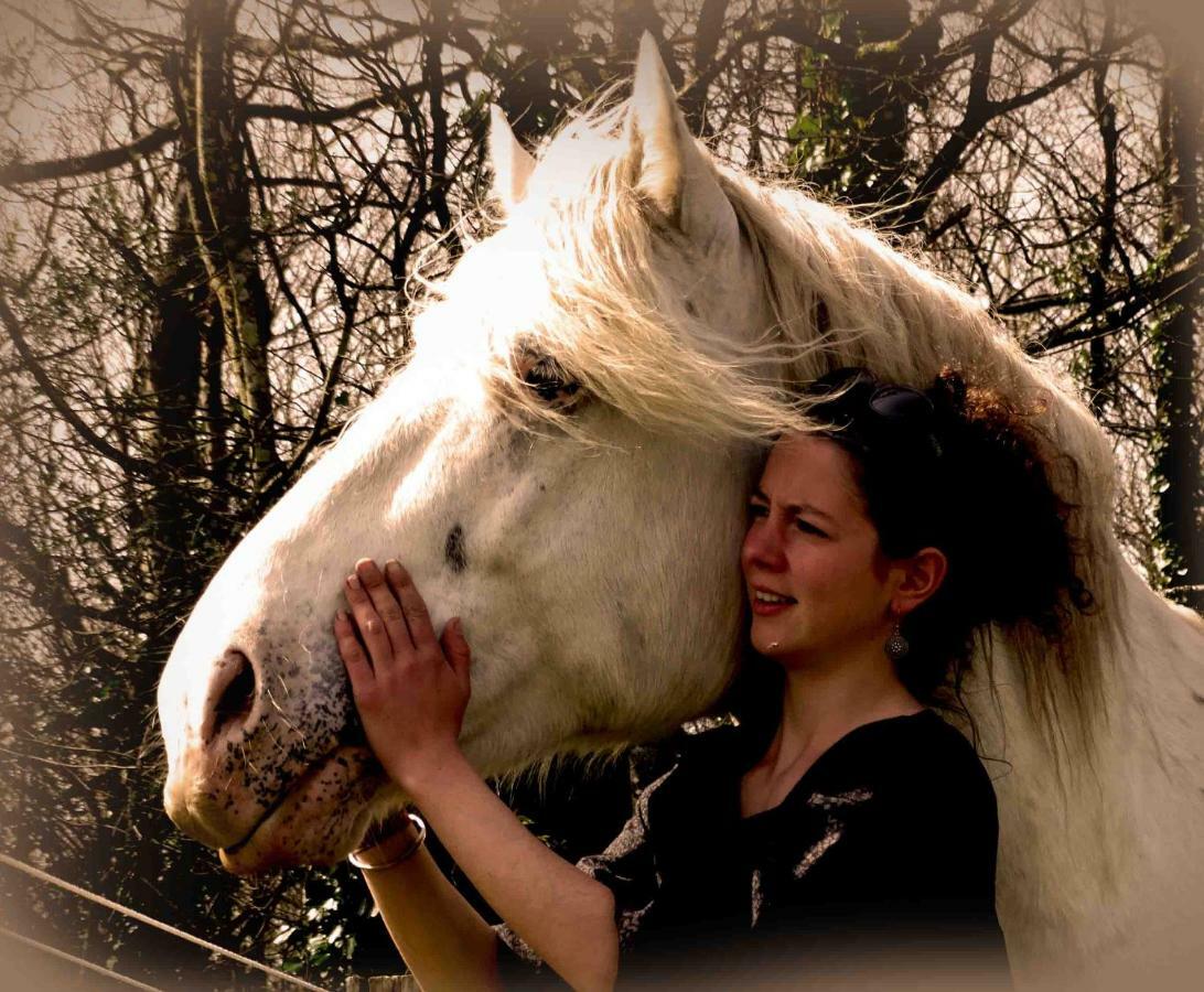 Une Roulotte Et Des Chevaux Treffléan Exteriör bild